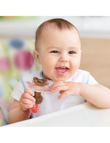 Blumenförmiger Fruchtsauger und Gefrierhülle...