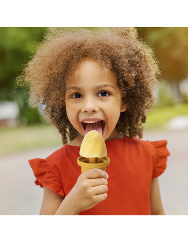 Freeze-N-Sip Ice Cream Mould Set - Marigold