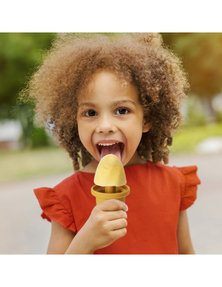 Freeze-N-Sip Ice Cream Mould Set - Marigold